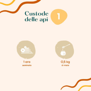 Custode delle api - Livello 1